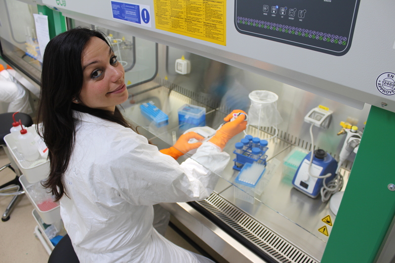 Antonella Fioravanti