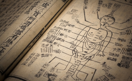 Le pratiche curative tradizionali - Medicina, religiosità e musica popolare