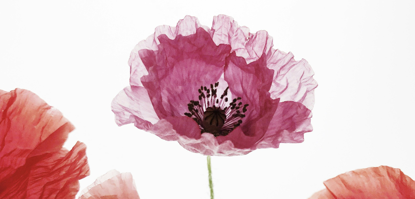 CAPITALI SPIRITUALI - Festival di Economia e Spiritualità