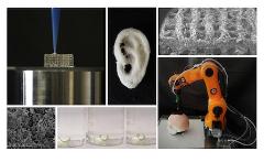 Fabbricare la vita? - Impariamo a conoscere la biofabbricazione