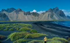 La rigenerazione dell'ambiente naturale - Consigli per un approccio sistemico