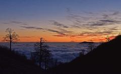 Meteorologo/a per un giorno - Dalle osservazioni alle previsioni in TV
