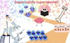 Supercellule superspeciali - Diventa una cellula staminale per un giorno