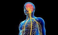 Equilibri elettrici tra mente e corpo - Un intreccio composito