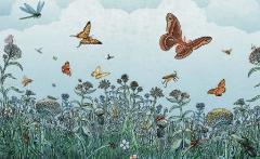 Insectopolis - Una storia naturale