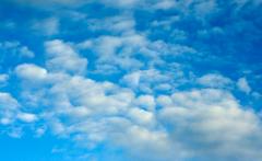 Meteo detective - Dall'osservazione del cielo alle previsioni