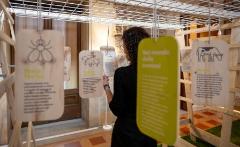 One Health - Un pianeta, una salute