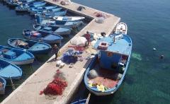 Proteggiamo insieme le meraviglie del mare - Biodiversità, pesca sostenibile e tutela delle risorse