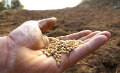 Tutto s'intreccia - L'unione fa natura