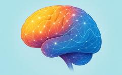 What's in our brain? - La meraviglia del cervello umano